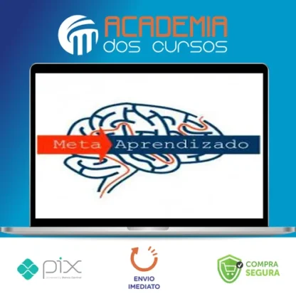 Meta Aprendizado Acelerado - Marcelo Maia