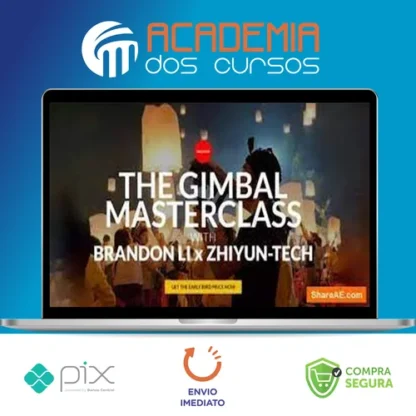 The Gimbal Masterclass - Brandon Li [INGLÊS]