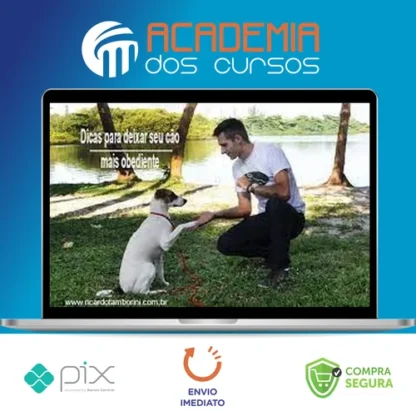 Desafio Cão Obediente - Marcelo Bessa
