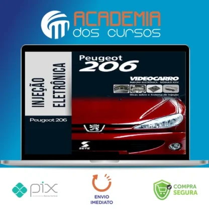 Injeção Eletrônica: Peugeot 206 - VideoCarro