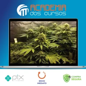 Cultivo Indoor de Plantas Medicinais - Jean Silva