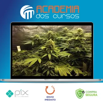 Cultivo Indoor de Plantas Medicinais - Jean Silva