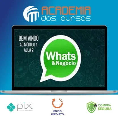 Como Vender Mais Usando o Whatsapp - Luiz Felipe Castro